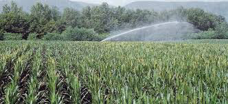 impianti irrigazione a pioggia