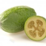 Feijoa