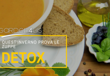 zuppa detox