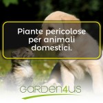 piante pericolose per gli animali domestici