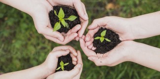 rimedi della nonna giaridno orto piante crescere le piante