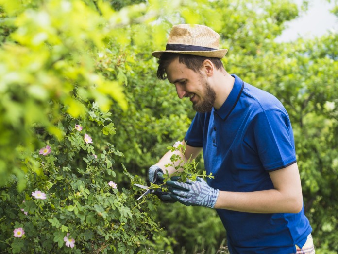 come diventare giardiniere