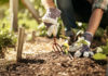 Come irrigare l'orto - Garden4us
