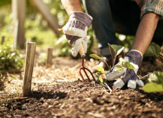 Come irrigare l'orto - Garden4us