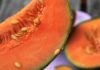 Melone